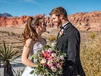 Red Rock Weddings by Limo